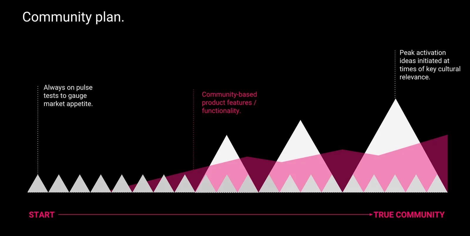 Community plan roadmap from Start to True Community: always-on pulse tests to gauge appetite, community-based product features, and peak activation timed to moments of cultural relevance.